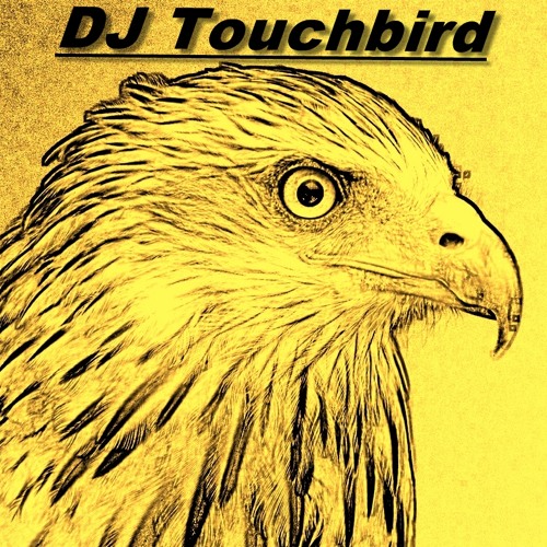 Touchbird’s avatar