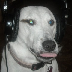 drugratcityentertainment