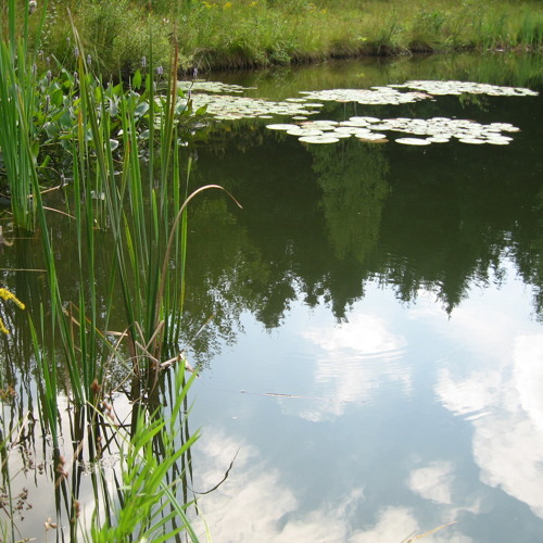 Dezarie - Defend Right