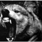-TUSK-