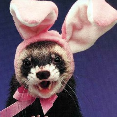 Prevention of Sloth Child