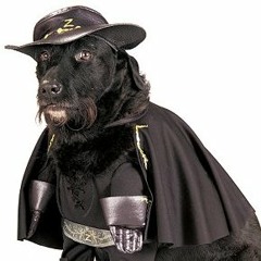 CozyKauz (Scratchiatella)