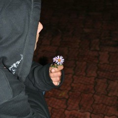 Dan-Cristian