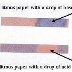 Acid Litmus