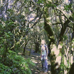 Haydn, piano sonata in g minor, Hob. XVI: 44