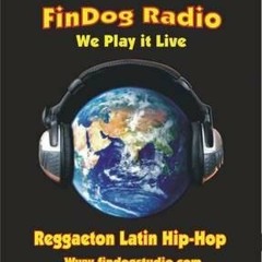 FINDOG RADIO