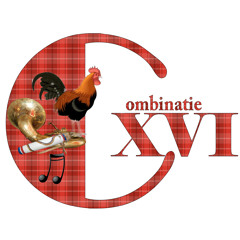 Combinatie XVI