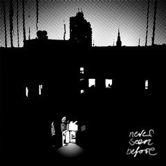 NEVER SEEN BEFORE...