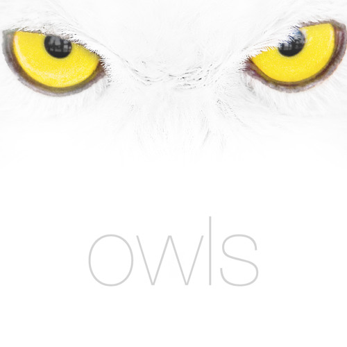 SoundCloud profile picture for @owls