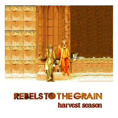 Rebels to the Grain- Whatever You Do