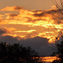 Flyweight & Stick Figure