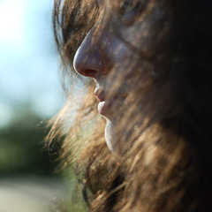 The Fugitives - Fool's Gold