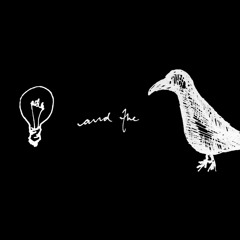 Light and the Raven
