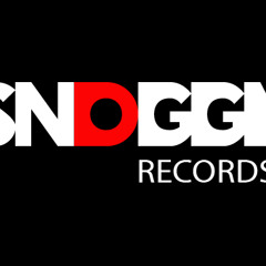 SnoggyRecords