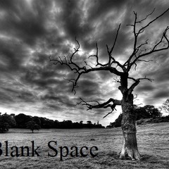xBlankSpacex