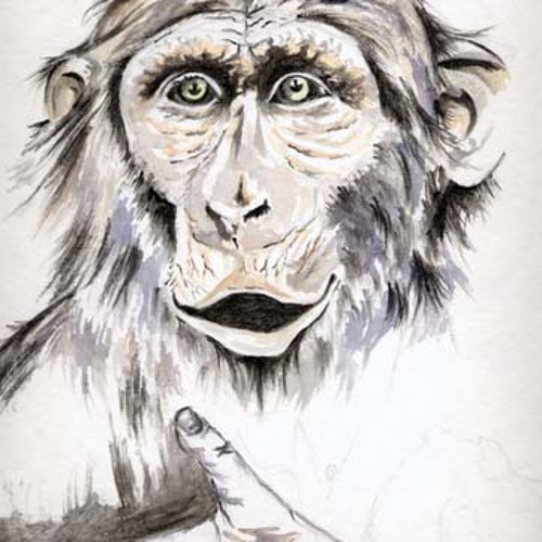 Stream Chaos Music music | Listen to songs, albums, playlists for free