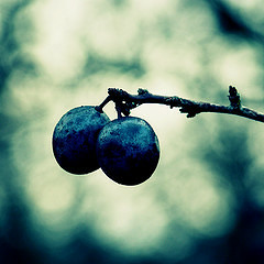 09. Sloe Texture - Friendship