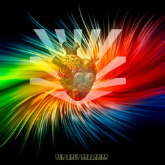 thelightgalleries.com