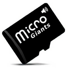 The Micro Giants