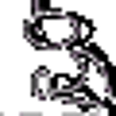 Sarah Riani - confidence