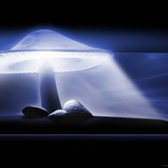 Infected mushroom - Deck And Sheker