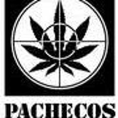PACHECOS
