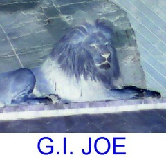 gi.joe