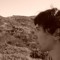 TEST.LXF