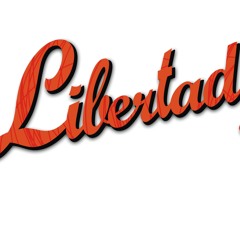 Fab Samperi @ Libertad De Musica Summer Edition 2011 @ Horizont Club, Varna