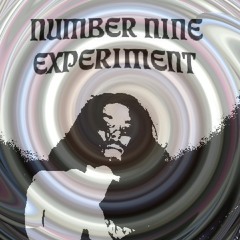 Number Nine Experiment