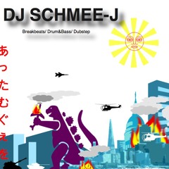 DJSCHMEE-J