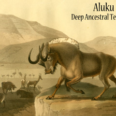 Aluku Rebels