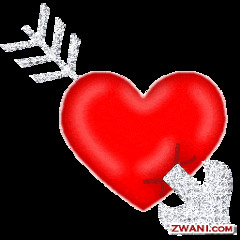 I will see only you