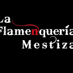 laflamenqueriamestiza