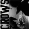 Crows
