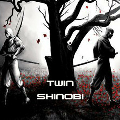 Twin Shinobi