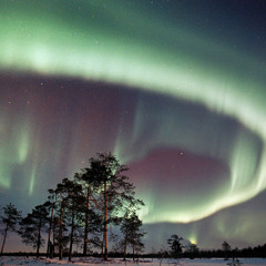 the Northern Lights