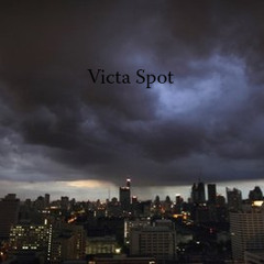Victa Spot