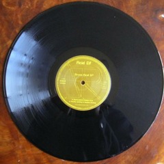 Electrokinesia - Bitchez Luv Pussy