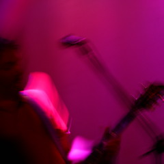 Charlie Nieland