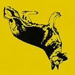 DownTheDog