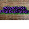 crackbaby productions