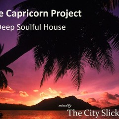 The Capricorn Project