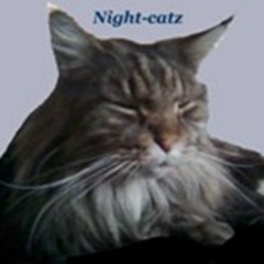 Night-catz