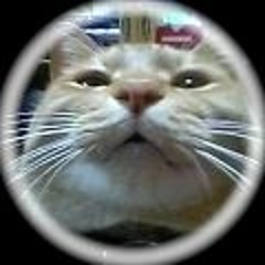 user6109980