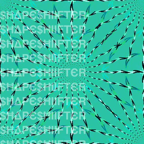 Electric Bloom (Shapeshiifter Remix)