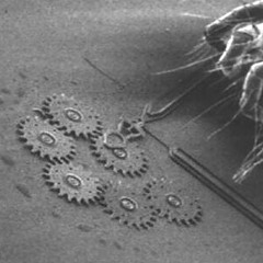 The Clockmakers
