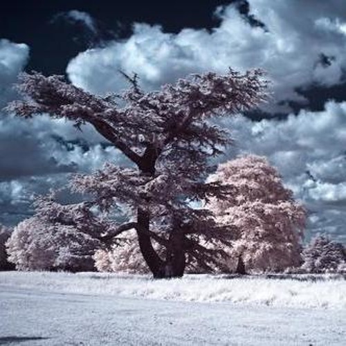 Moderat - Let In The Light (st8 rmx)