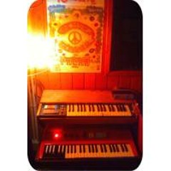 COLLETTIVO FERTILASIA