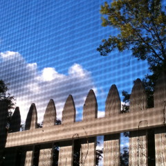 Matthew Francis Andersen